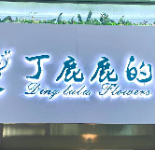 丁鹿鹿的花